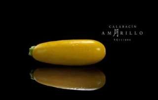 productora audiovisual