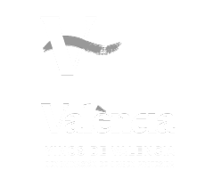 Logo DO Valencia