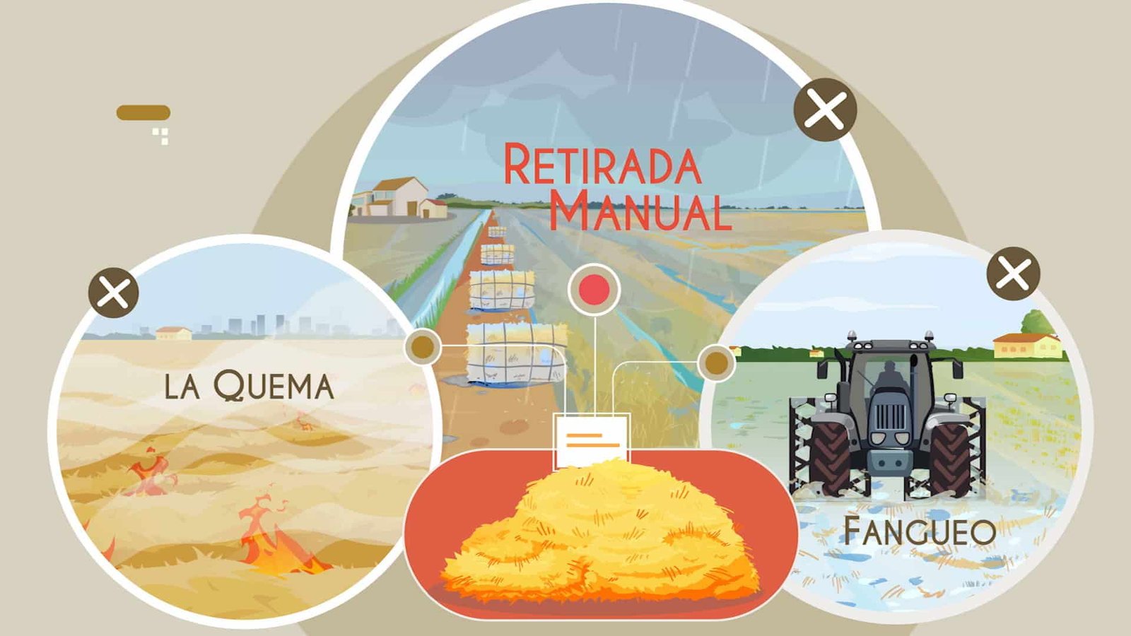 GO-STRAWMAT_02 Go Strawmat: Solución a la gestión de la paja del arroz